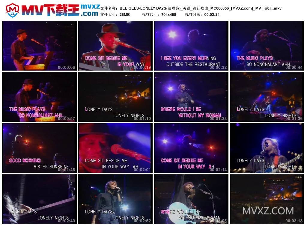 BEE GEES-LONELY DAYS(演唱会)_英语_流行歌曲_MC800356